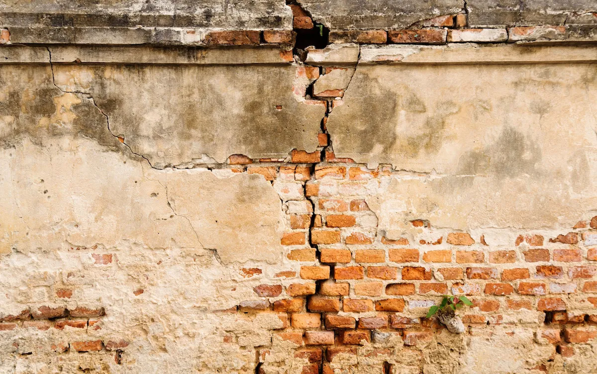 CEOs and Product Leaders